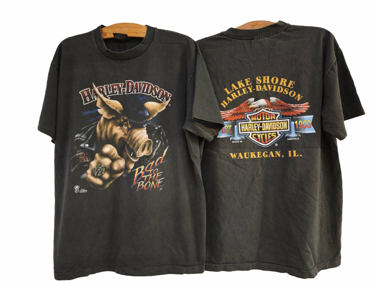 Harley Davidson "Bad to the Bone" Tee