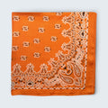 Ri Ri Paisley Scarf