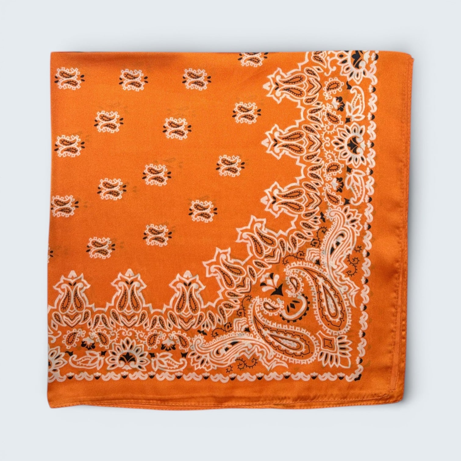 Ri Ri Paisley Scarf