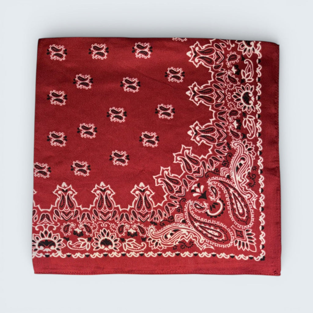 Ri Ri Paisley Scarf