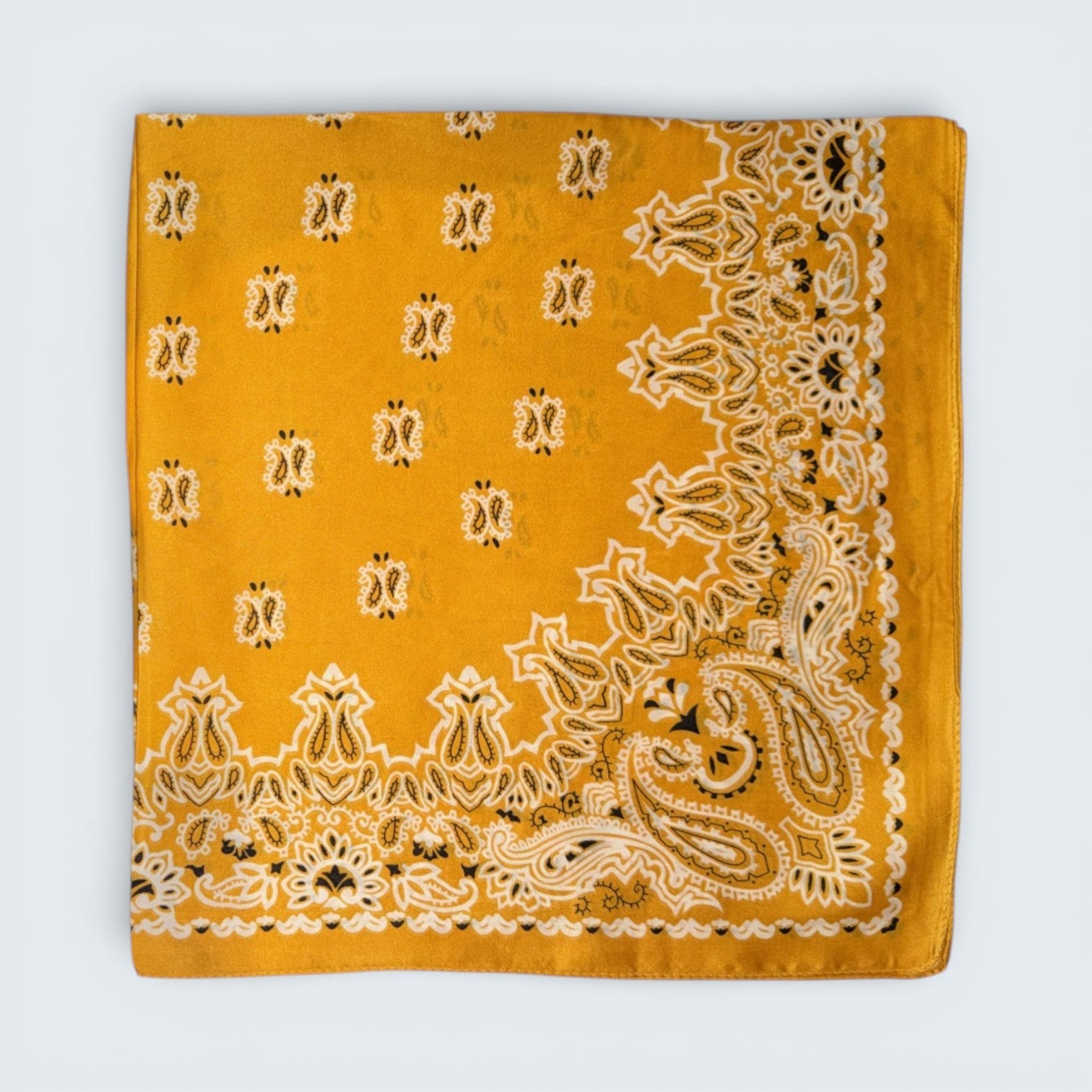 Ri Ri Paisley Scarf