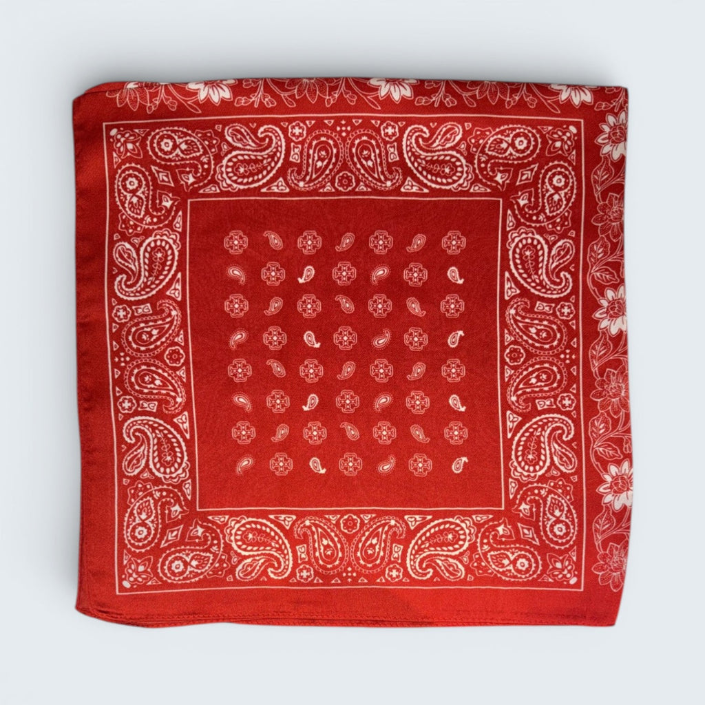 Jenny Paisley Print Scarf