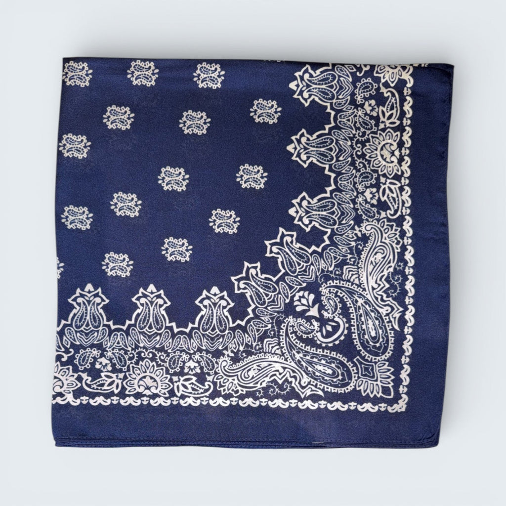 Ri Ri Paisley Scarf