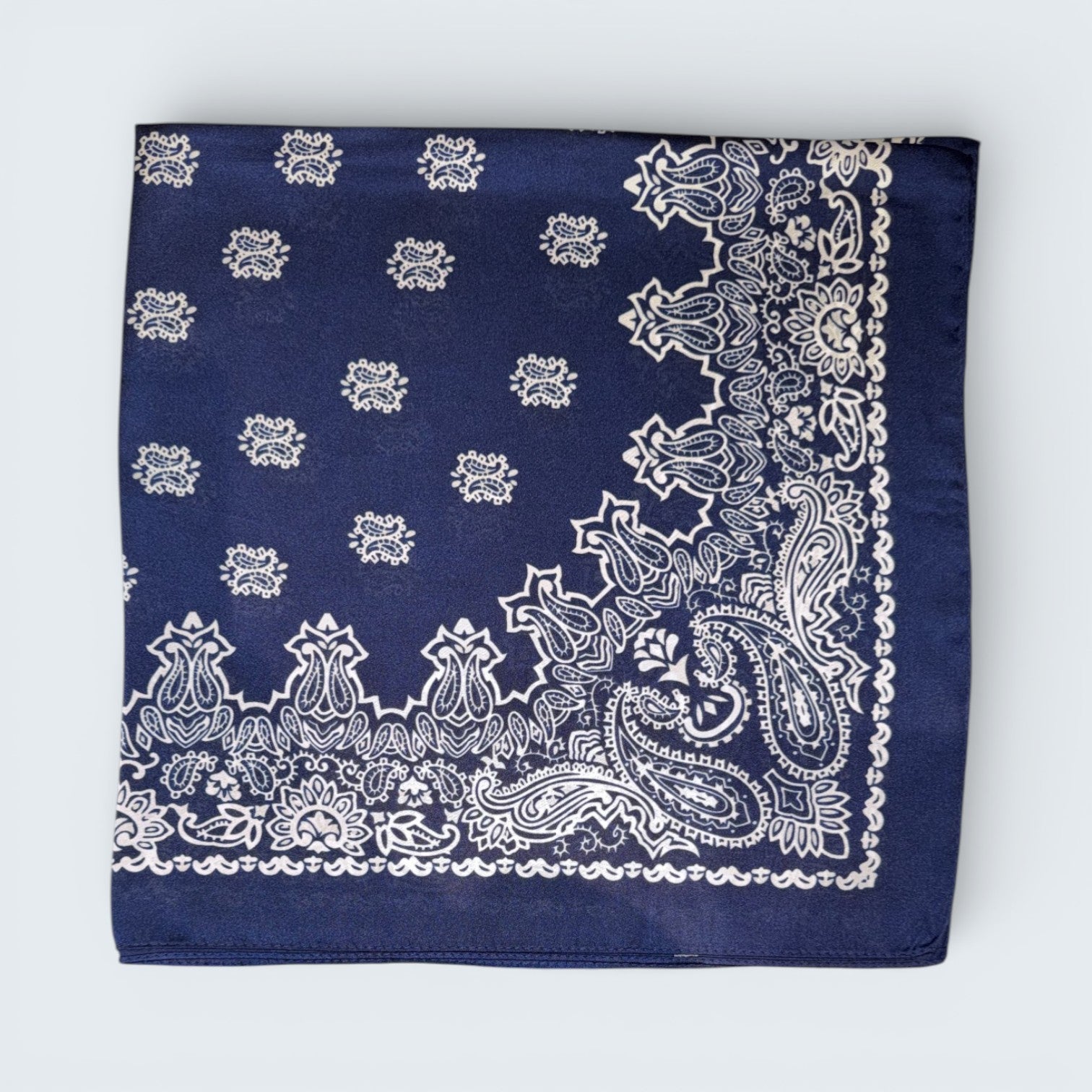 Ri Ri Paisley Scarf
