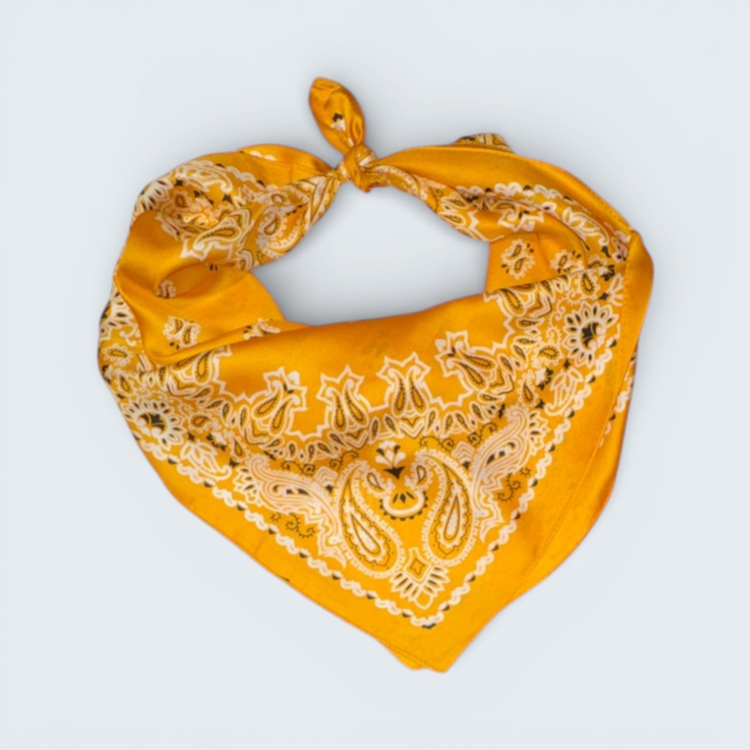 Ri Ri Paisley Scarf