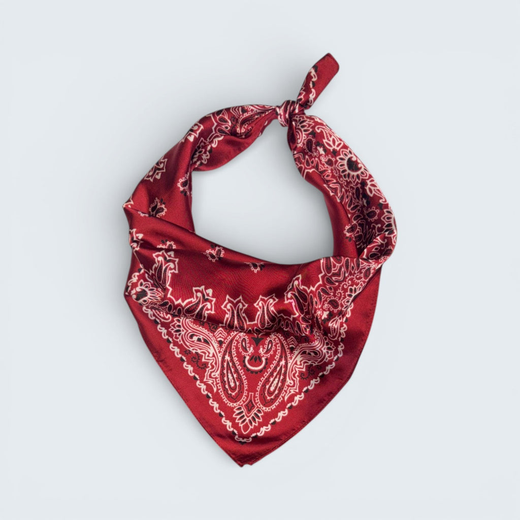 Ri Ri Paisley Scarf