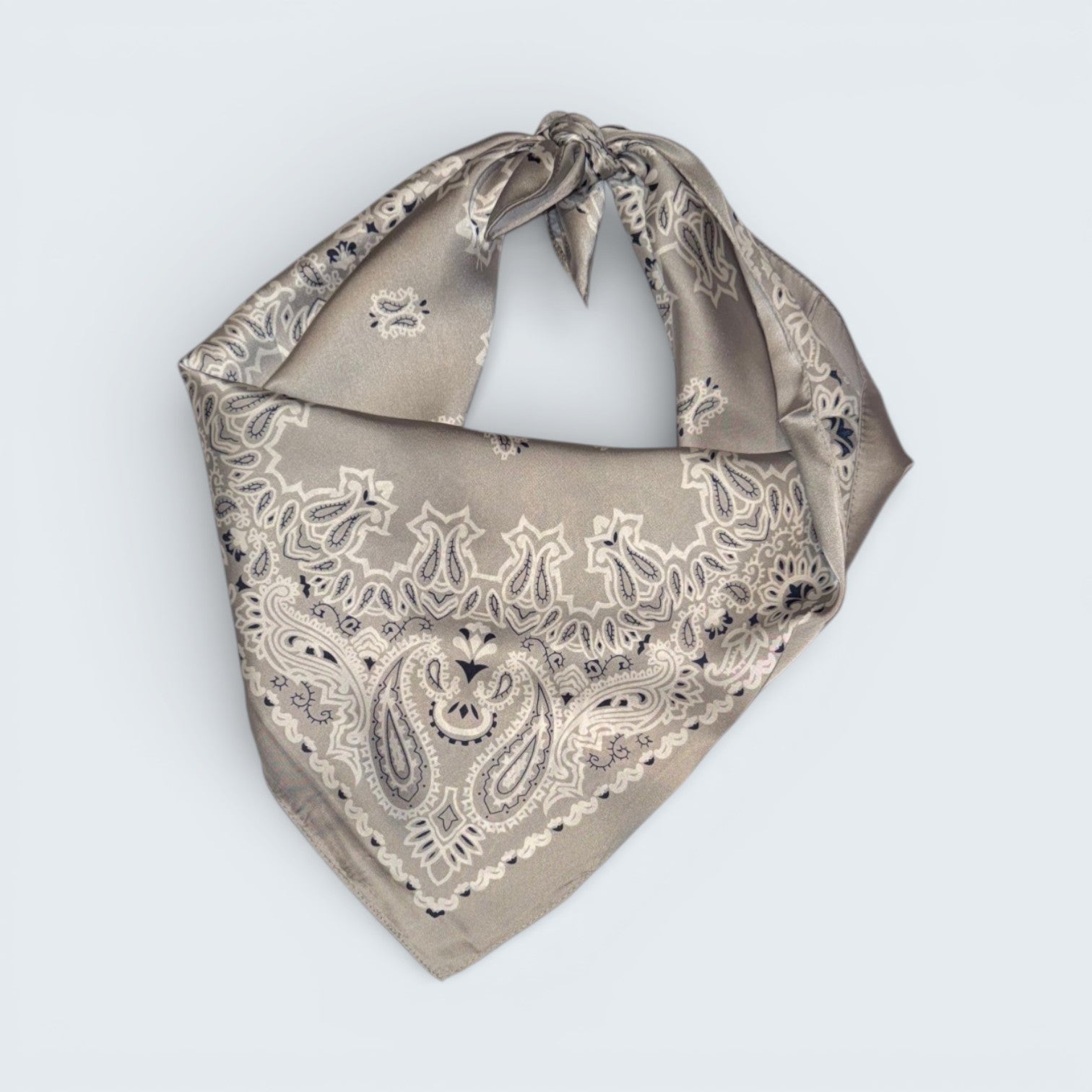 Ri Ri Paisley Scarf