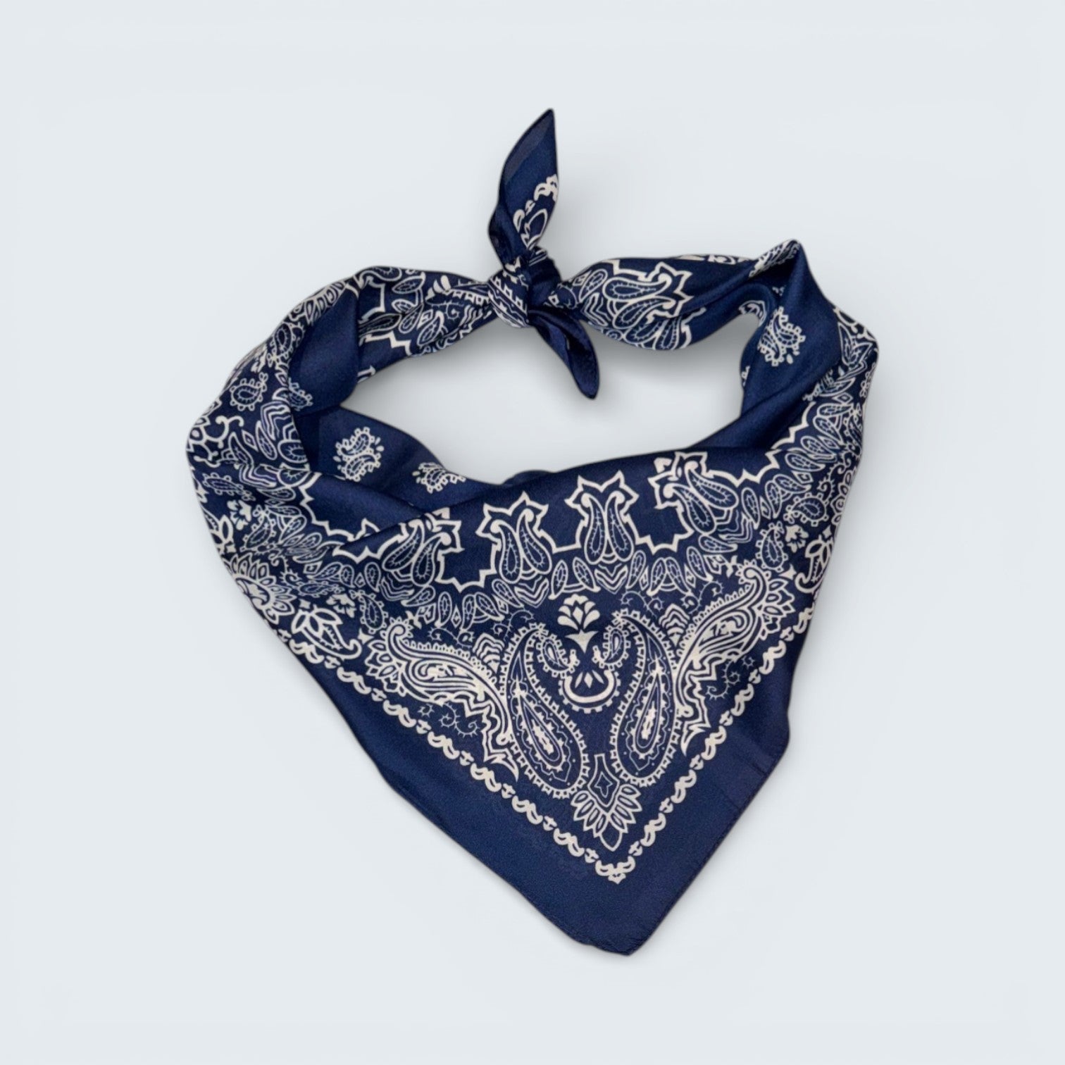 Ri Ri Paisley Scarf