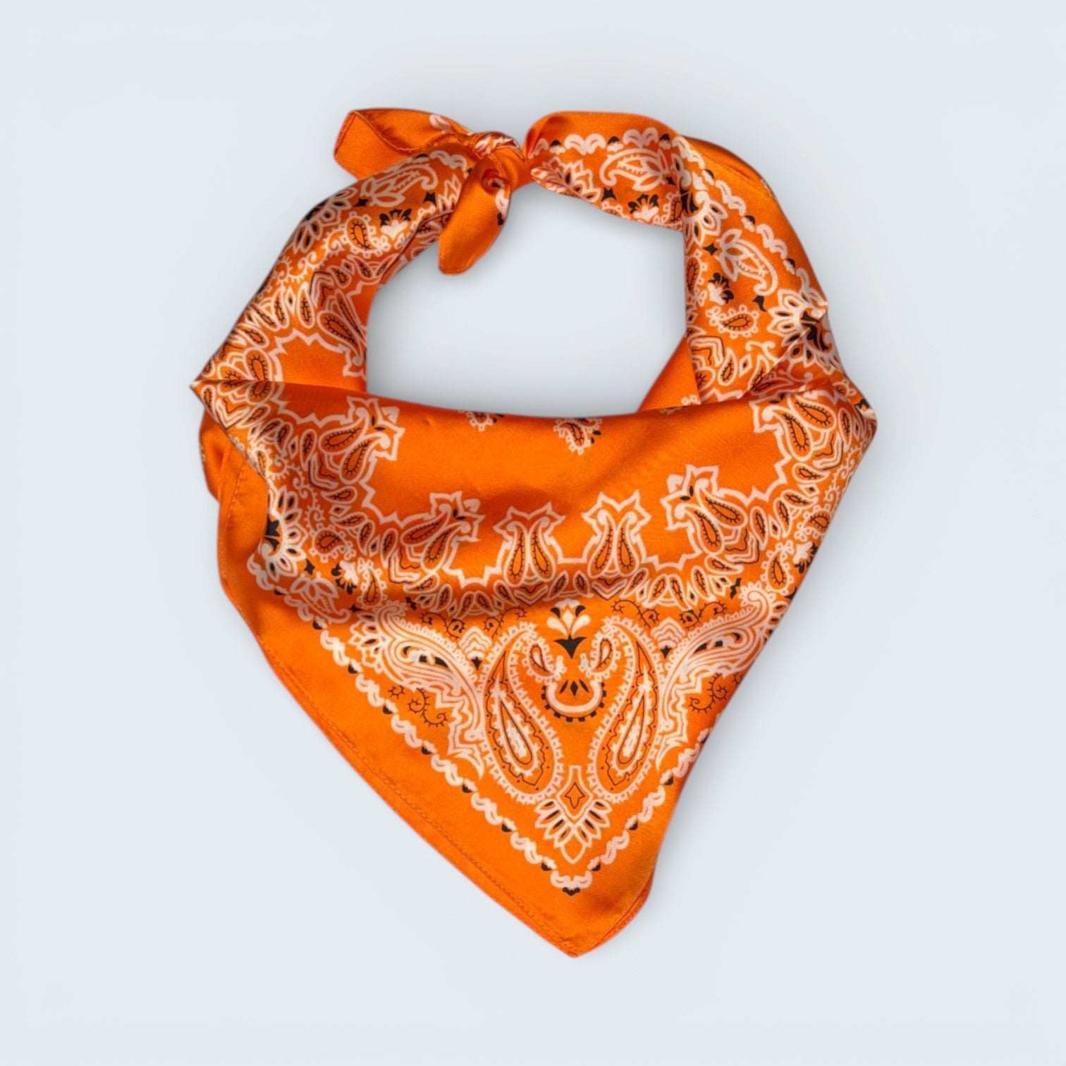 Ri Ri Paisley Scarf
