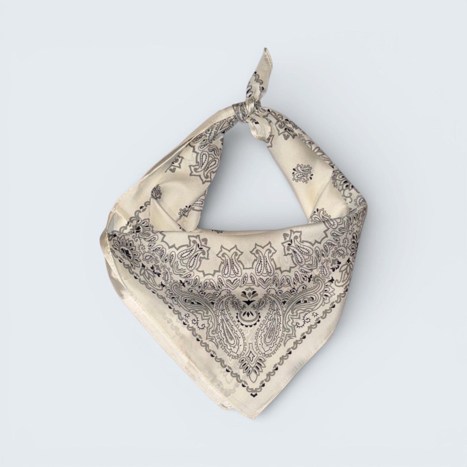Ri Ri Paisley Scarf