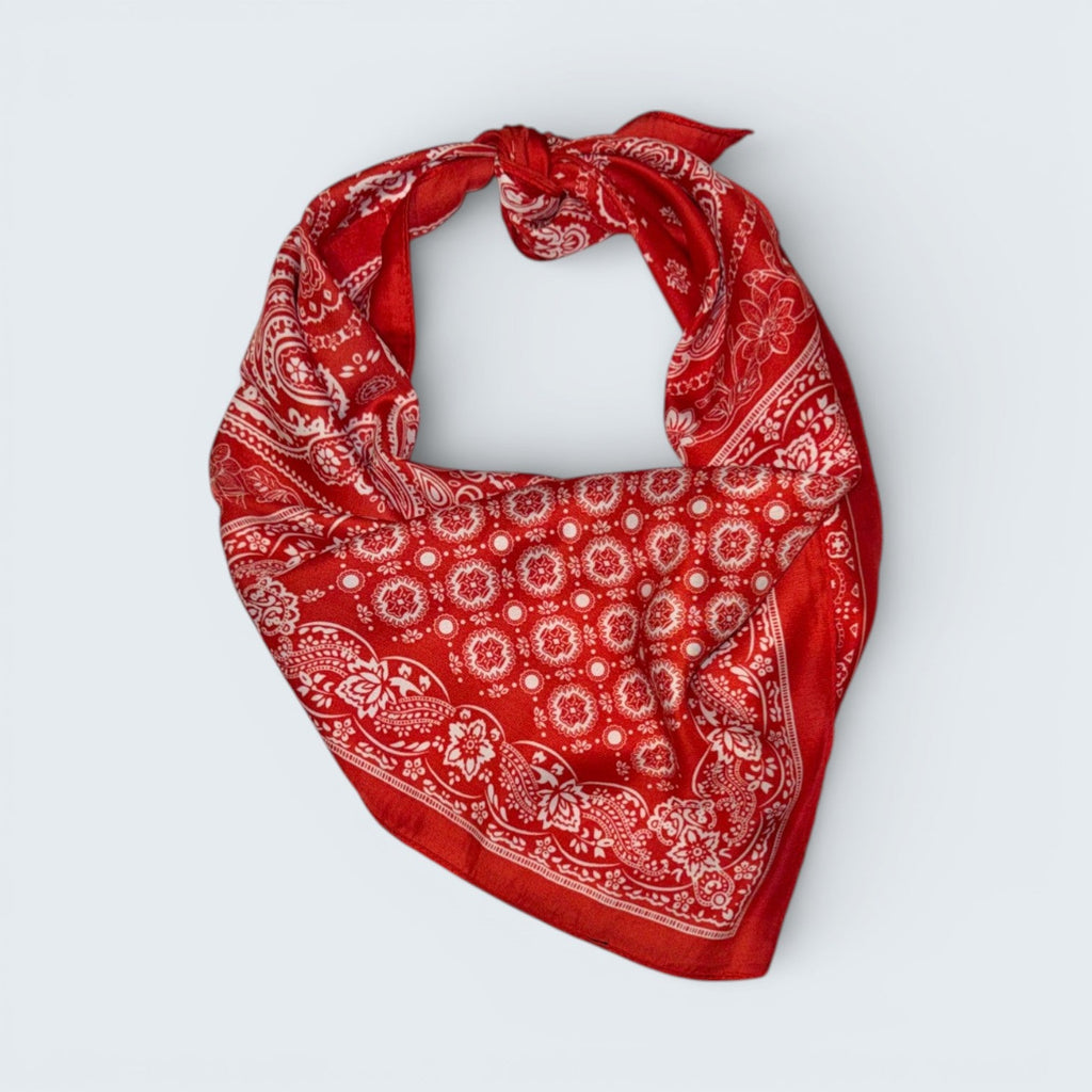 Jenny Paisley Print Scarf
